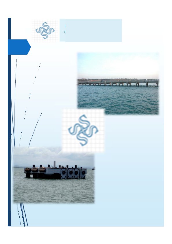 Background for SCCProfile01 page 01 595x842