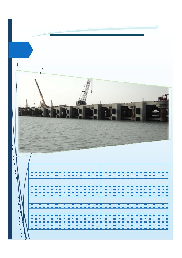Background for SCCProfile page 14 595x842