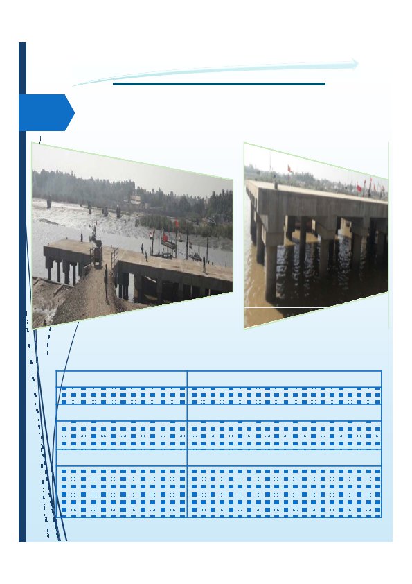Background for SCCProfile page 19 595x842