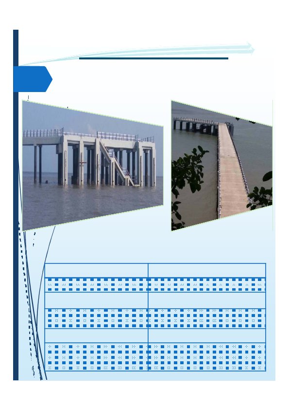 Background for SCCProfile page 20 595x842