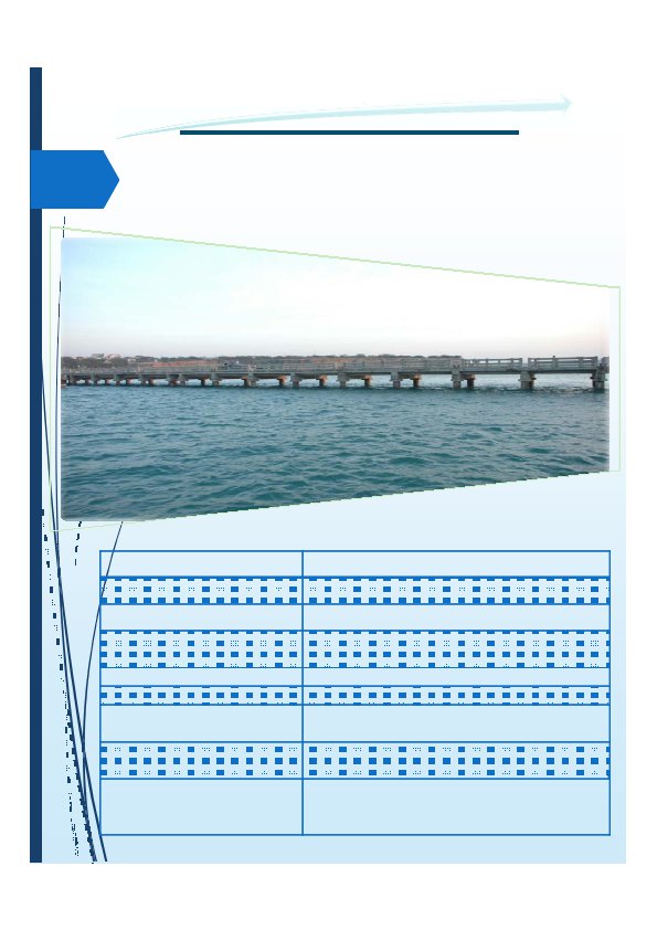 Background for SCCProfile page 28 595x842