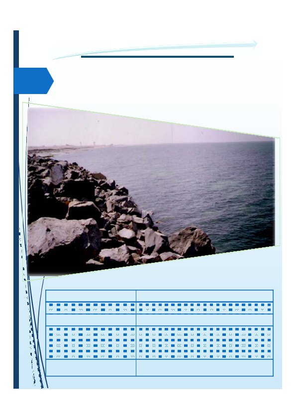 Background for SCCProfile page 32 595x842