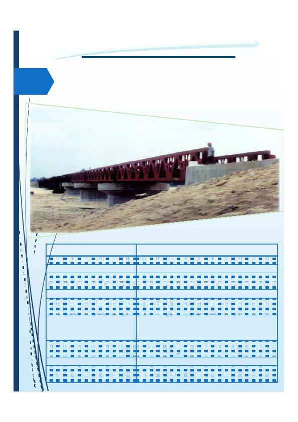 Background for SCCProfile page 41 595x842