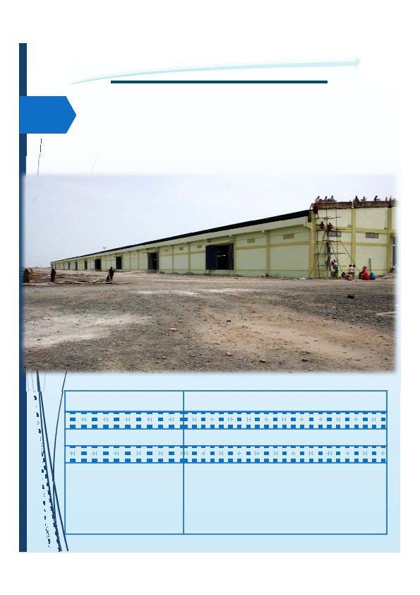 Background for SCCProfile page 45 595x842
